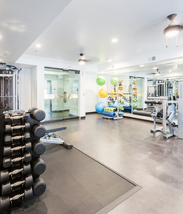 Brightly lit fitness center with smooth floor, mirror walls, large dumbbell rack, and exercise machines.