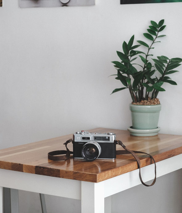 hard wood table with a vintage camera and plant in green pot on table