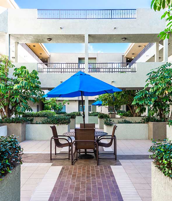 Courtyard with paved paths, patio furniture with umbrella, planters with large plants, and overhead walkway.