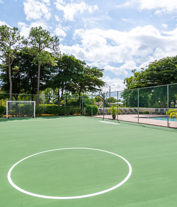 Outdoor play area with turf, soccer goal, and tall trees under cloudy blue sky.