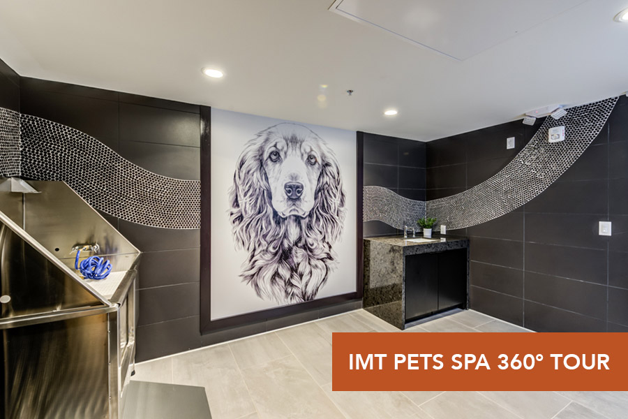 IMT 6500-IMT Pet Spa