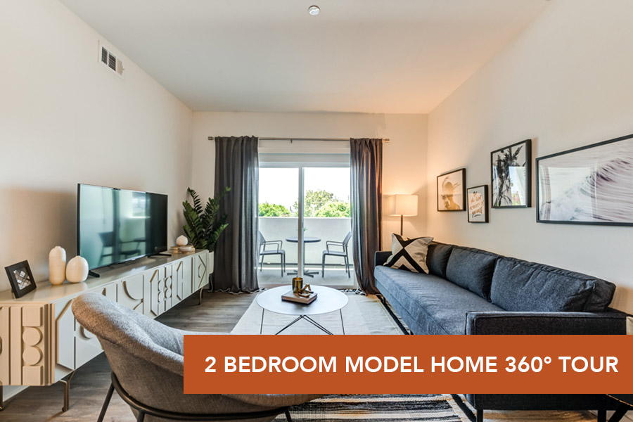 IMT 6500-Model 2 Bed