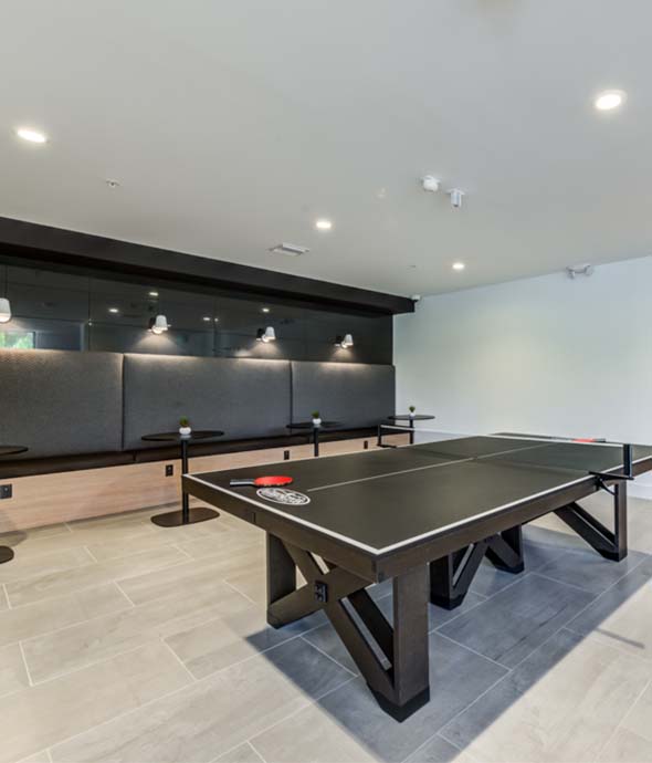 Ping Pong Table with Seating Area