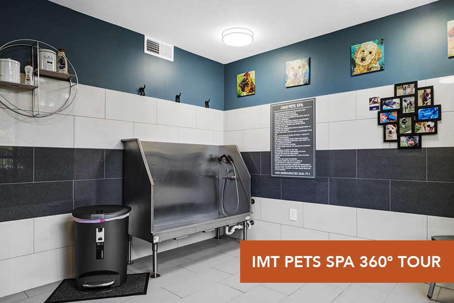 IMT Ballantyne-IMT Pet Spa