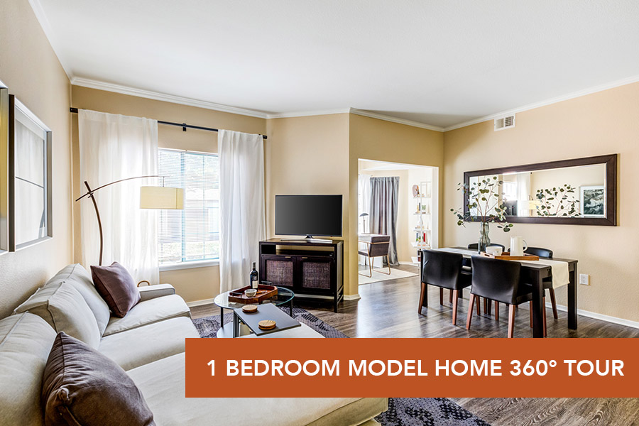 IMT Cherry Creek-Model 1 Bed