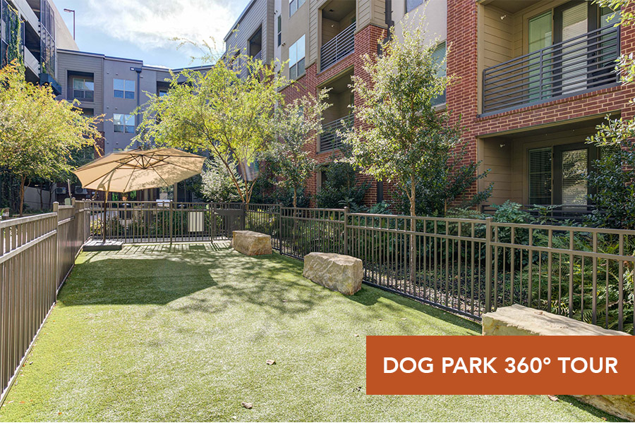 IMT Prestonwood-Dog Park