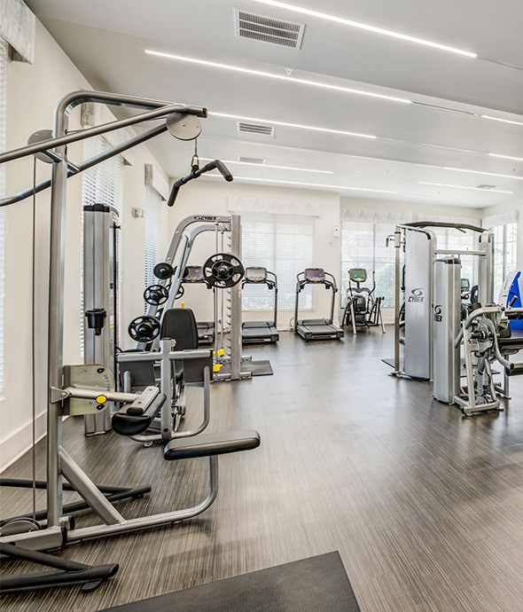IMT Sonoma Hills - Fitness Center with windows, wood flooring, cardio and strength equipment