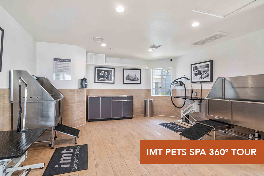 IMT Sorrento Valley-IMT Pet Spa