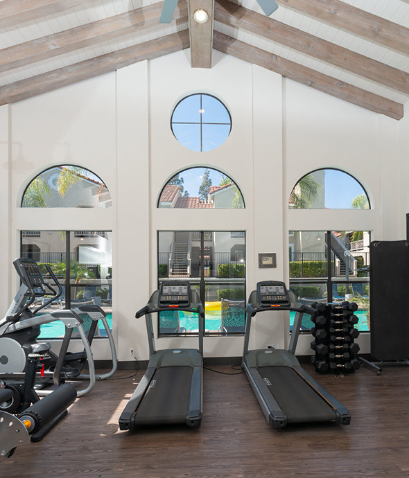 IMT Wood Ranch - Fitness Center with wood floors, windows, free weights, cardio and strength equipment