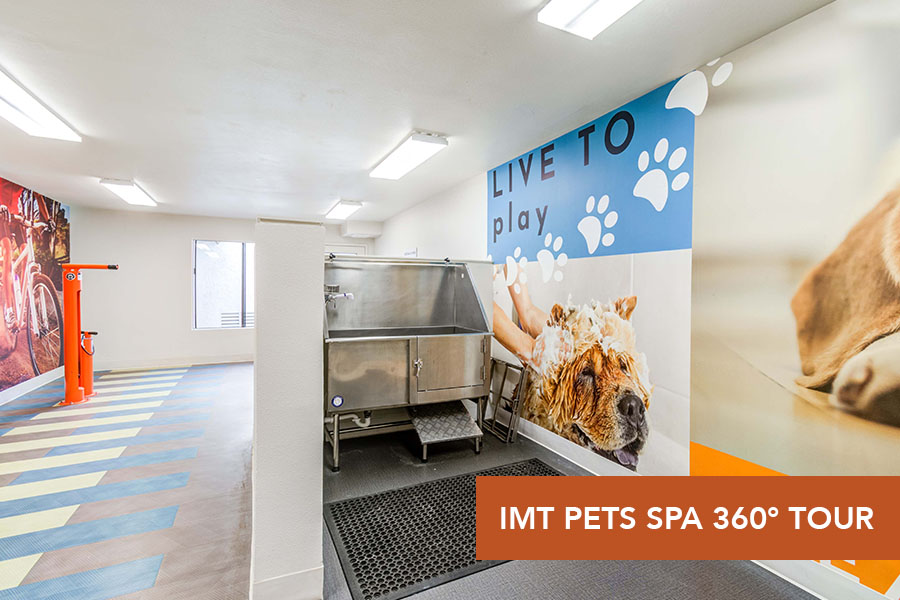 IMT Mission Valley - IMT Pet Spa 360 tour