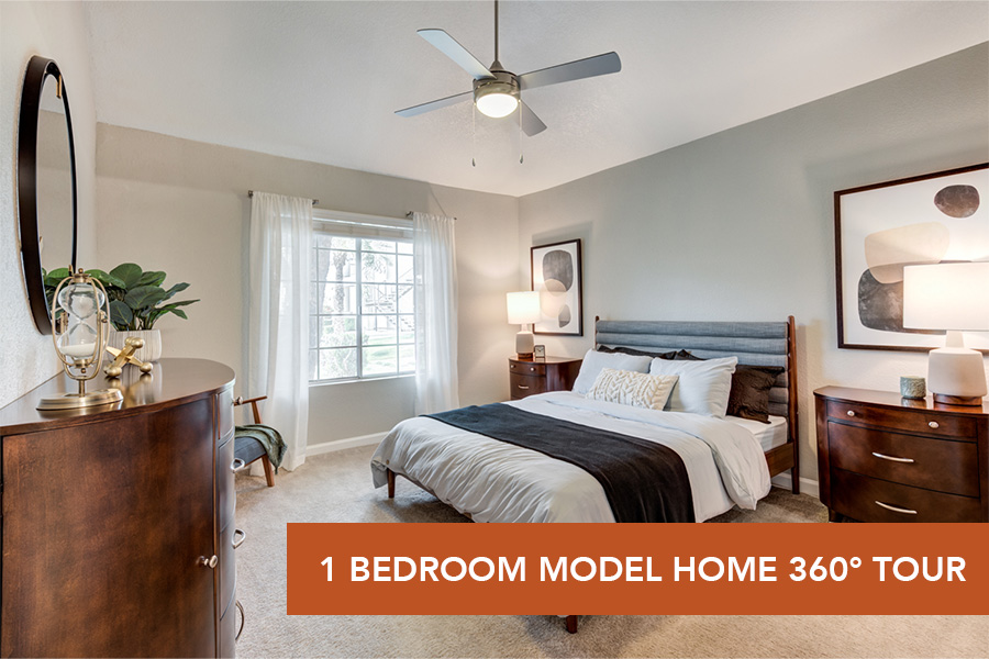 IMT Ahwatukee 360 Tour