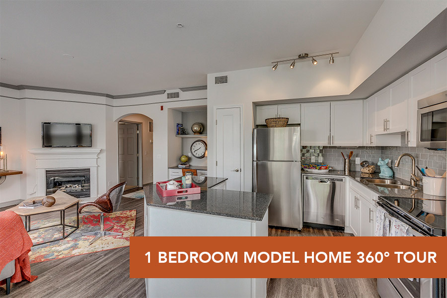 IMT Lowry-Model 1 Bed