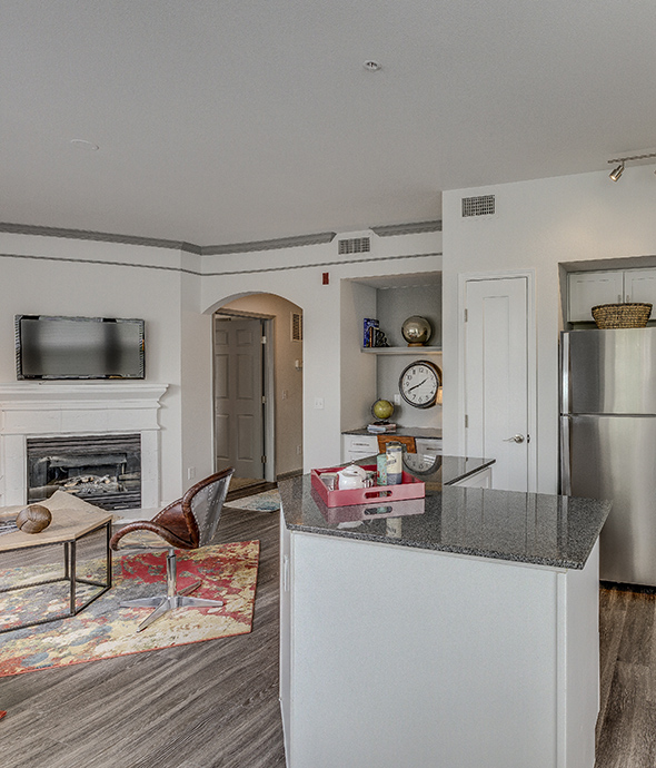 Kitchen and living area with wood floor, large rug, modern furniture, and stone island.
