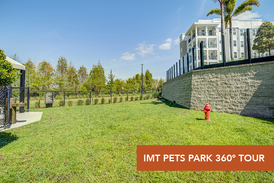 IMT Lake House 360 Tour