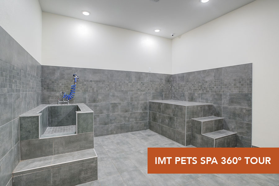 IMT Lake Mary IMT Pets Spa