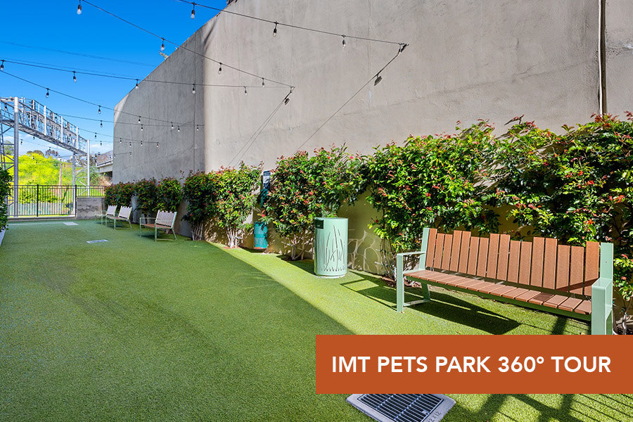IMT Laguna Niguel-IMT Pet Park