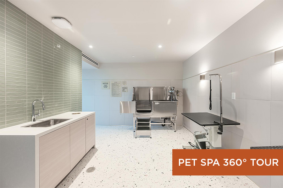 Thumbnail for 360 tour featuring Outdoor lounge with Pet spa facility for pets at Citrus Commons, Sherman Oaks, Los Angeles.